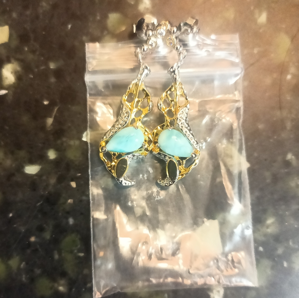 Brand new pushback earrings
